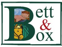 bub_logo_Bett_und_Box_KLEIN